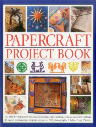 Buch Papercraft Project Book Lucy Painter