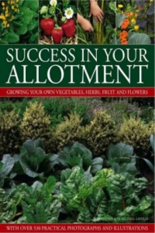 Kniha Success in Your Allotment Michael Lavelle