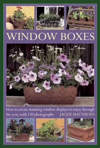 Knjiga Window Boxes Jackie Matthews
