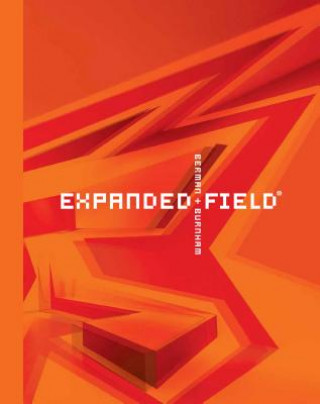 Knjiga Expanded Field: Installation Architecture beyond Art Ila Berman