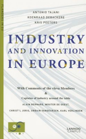 Kniha Industry and Innovation in Europe Koenraad Debackere