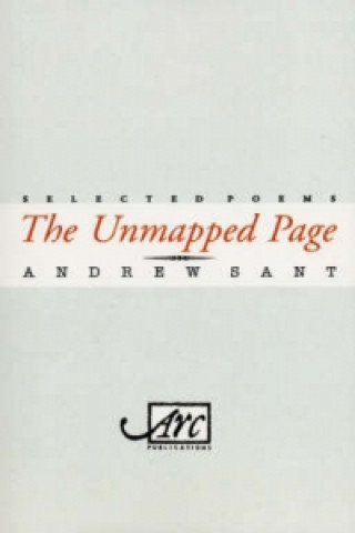 Kniha Unmapped Page Andrew Sant