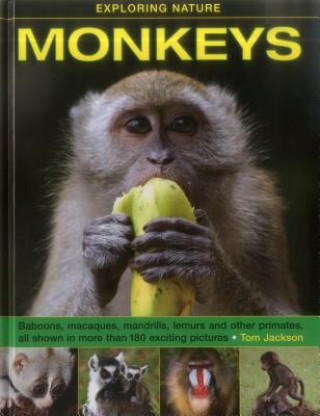 Книга Exploring Nature: Monkeys Tom Jackson