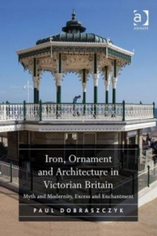 Könyv Iron, Ornament and Architecture in Victorian Britain PAUL DOBRASZCZYK