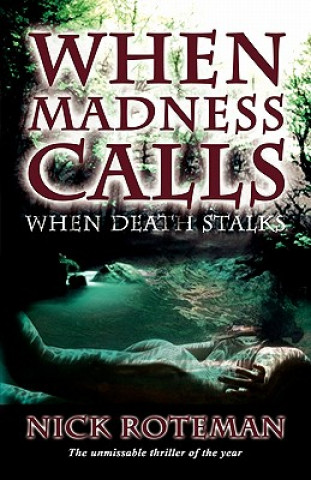 Book When Madness Calls Nick Roteman