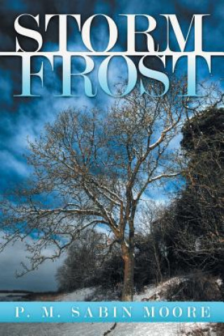 Kniha Storm Frost M Sabin Moore P M Sabin Moore