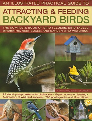 Carte BACKYARD BIRDS: ILLUSTRATED PRACTICAL Jen Green