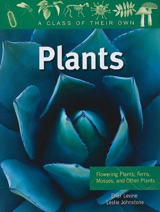 Kniha PLANTS:FLOWERING PLANTS,FERNS,MOSSES Shar Levine