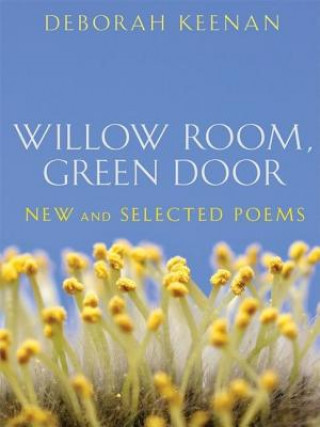 Livre Willow Room, Green Door Deborah Keenan