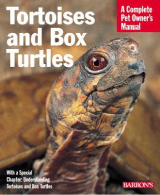 Kniha Tortoises and Box Turtles Hartmut Wilice