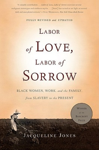 Carte Labor of Love, Labor of Sorrow Jacqueline Jones