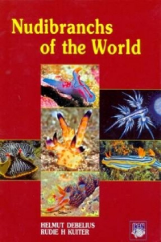 Carte Nudibranchs of the World Rudie H. Kuiter
