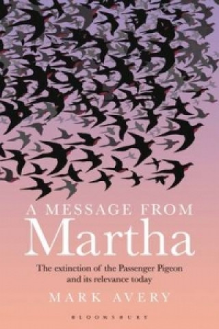 Книга Message from Martha AVERY MARK