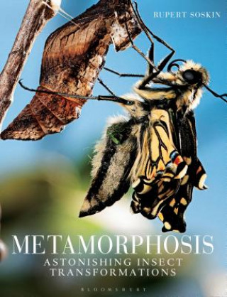 Kniha Metamorphosis SOSKIN RUPERT