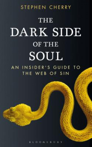 Kniha Dark Side of the Soul Stephen Cherry