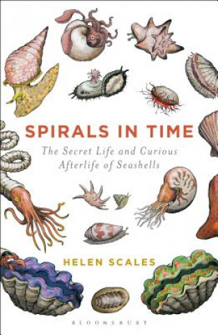 Könyv Spirals in Time Helen Scales