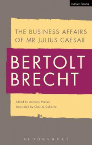 Kniha Business Affairs of Mr Julius Caesar Bertolt Brecht