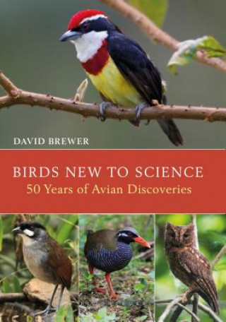 Książka Birds New to Science David Brewer