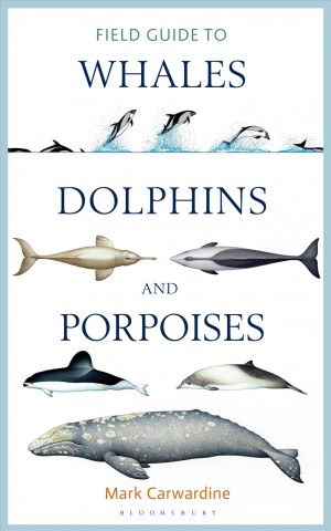 Carte Handbook of Whales, Dolphins and Porpoises CARWARDINE MARK
