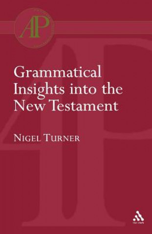 Kniha Grammatical Insights into the New Testament Nigel Turner