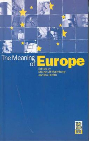 Kniha Meaning of Europe Mikael AF Malmborg