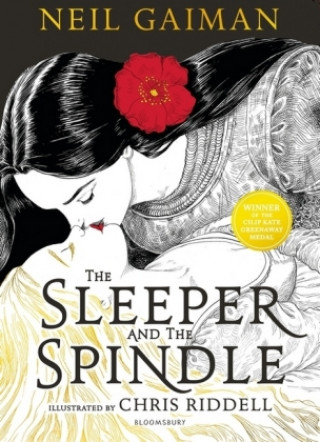 Carte Sleeper and the Spindle Gaiman Neil