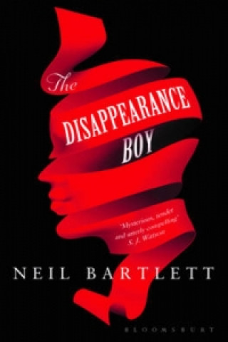 Buch Disappearance Boy BARTLETT NEIL