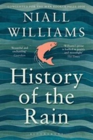 Könyv History of the Rain Niall Williams