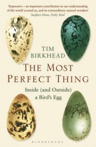 Kniha Most Perfect Thing Tim Birkhead