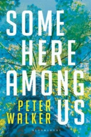 Book Some Here Among Us Peter Walker