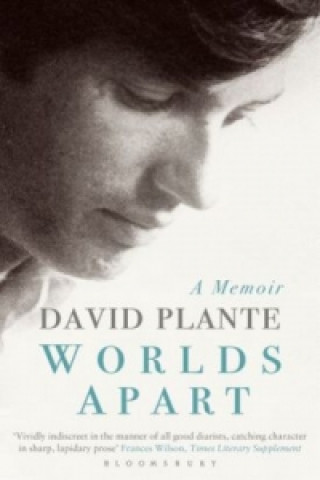 Könyv Worlds Apart PLANTE DAVID