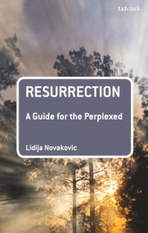 Kniha Resurrection: A Guide for the Perplexed NOVAKOVIC  LIDIJA