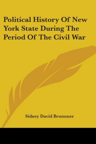 Livre Political History Of New York State During The Period Of The Civil War David Brummer Sidney