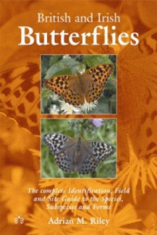 Książka British and Irish Butterflies Adrian M. Riley