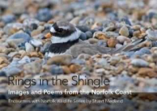 Buch Rings in the Shingle Stuart Medland