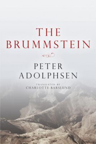 Libro Brummstein PETER ADOLPHSEN