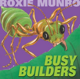 Kniha Busy Builders ROXIE MUNRO