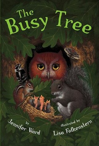 Książka Busy Tree JENNIFER WARD