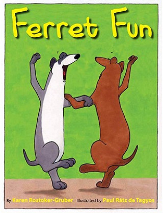 Buch Ferret Fun KAR ROSTOKER-GRUBER