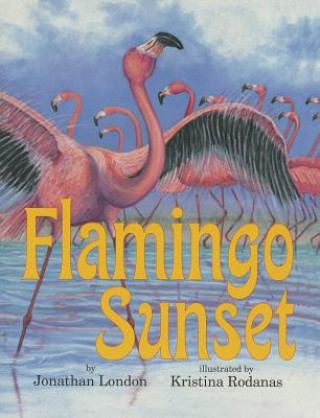 Carte Flamingo Sunset Jonathan London