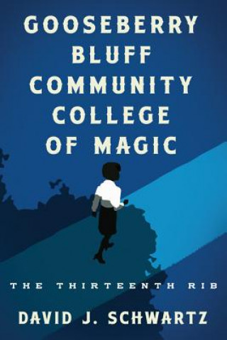 Kniha Gooseberry Bluff Community College of Magic David Schwartz