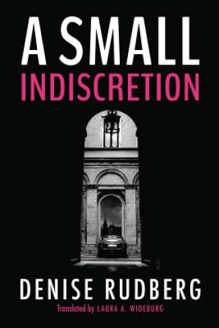 Knjiga Small Indiscretion, A DENISE RUDBERG