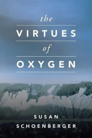 Kniha Virtues of Oxygen, The SUSAN SCHOENBERGER