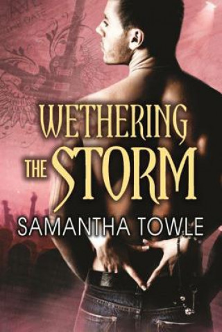 Kniha Wethering the Storm SAMANTHA TOWLE