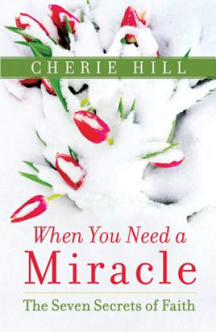 Kniha When You Need a Miracle CHERIE HILL
