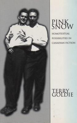 Buch Pink Snow Terry Goldie