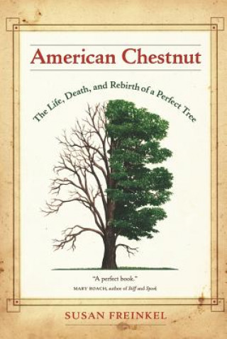 Book American Chestnut Susan Freinkel