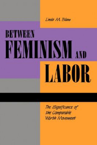 Kniha Between Feminism and Labor Linda M. Blum