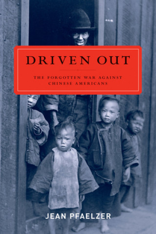 Livre Driven Out Jean Pfaelzer