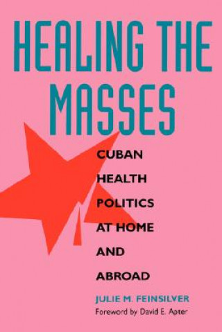 Könyv Healing the Masses Julie M. Feinsilver